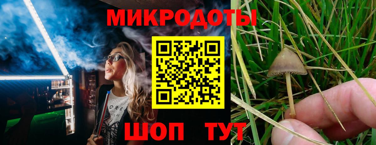 Кировск  Галлюциногенные грибы Psilocybe  где купить наркоту  Вход с VPN 